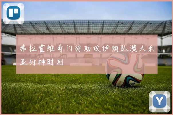 弗拉霍维奇门将助攻伊朗队澳大利亚封神时刻