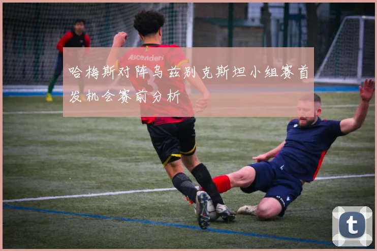 哈梅斯对阵乌兹别克斯坦小组赛首发机会赛前分析
