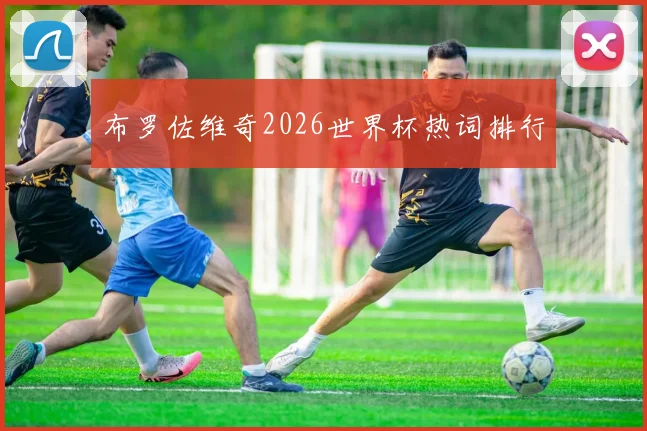 布罗佐维奇2026世界杯热词排行