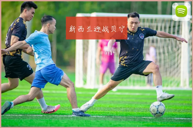 新西兰迎战贝宁