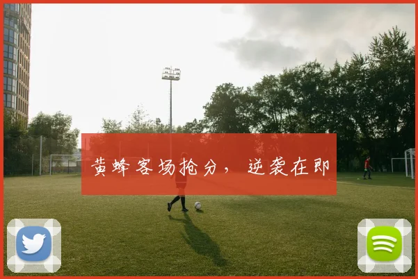 黄蜂客场抢分，逆袭在即
