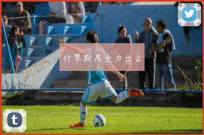 什琴斯尼全力出击