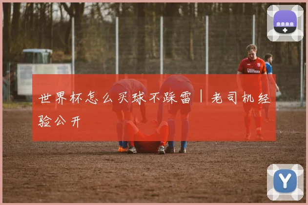 世界杯怎么买球不踩雷｜老司机经验公开