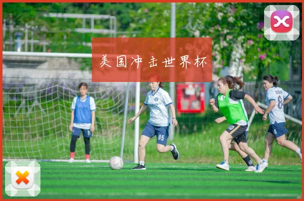 美国冲击世界杯