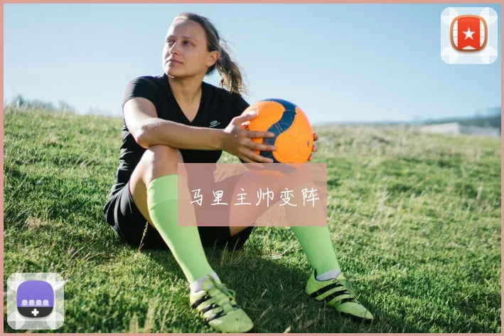 马里主帅变阵