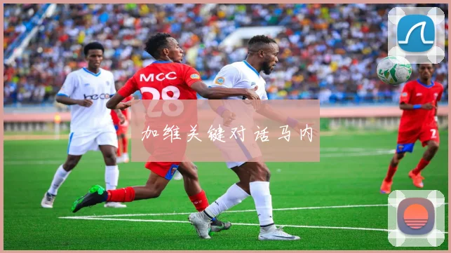 加维关键对话马内