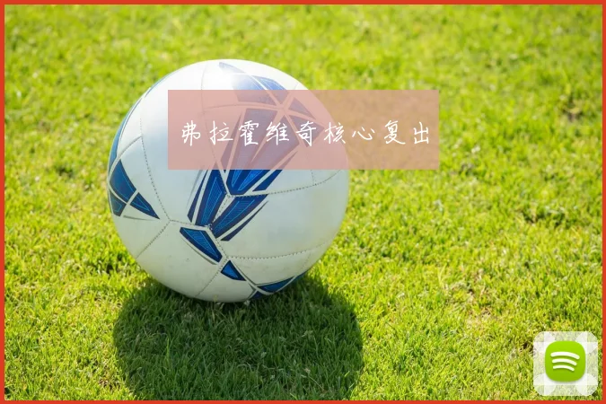 弗拉霍维奇核心复出