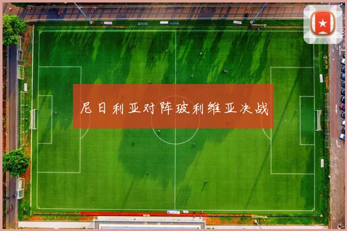 尼日利亚对阵玻利维亚决战