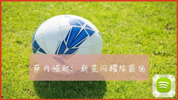 萨内崛起：新星闪耀绿茵场