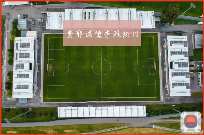 费耶诺德夺冠热门