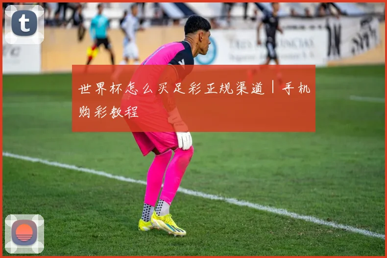 世界杯怎么买足彩正规渠道｜手机购彩教程