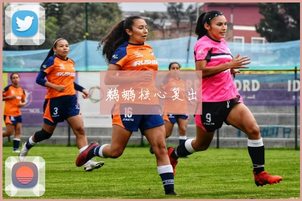 鹈鹕核心复出