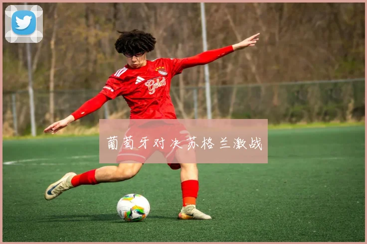 葡萄牙对决苏格兰激战