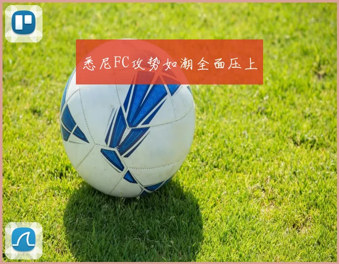 悉尼FC攻势如潮全面压上