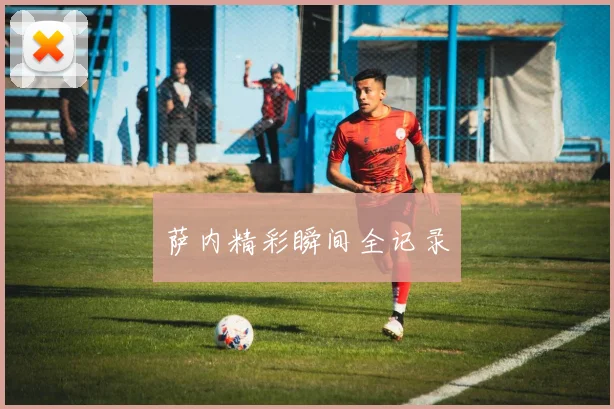 萨内精彩瞬间全记录