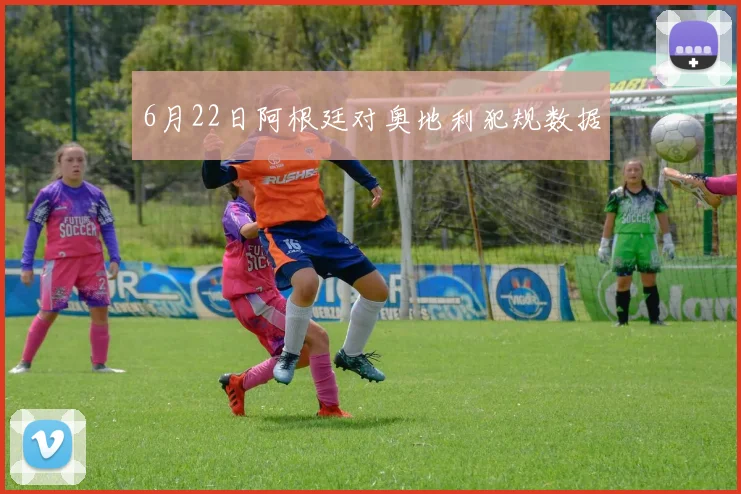 6月22日阿根廷对奥地利犯规数据