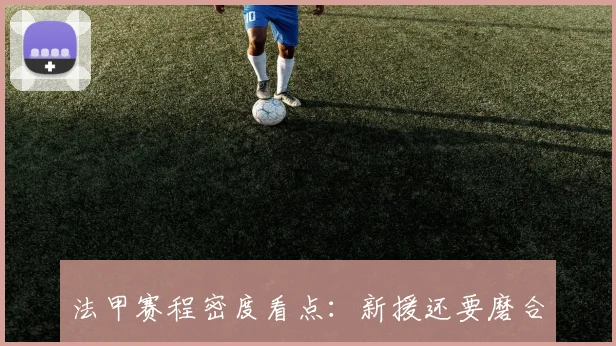 法甲赛程密度看点:新援还要磨合