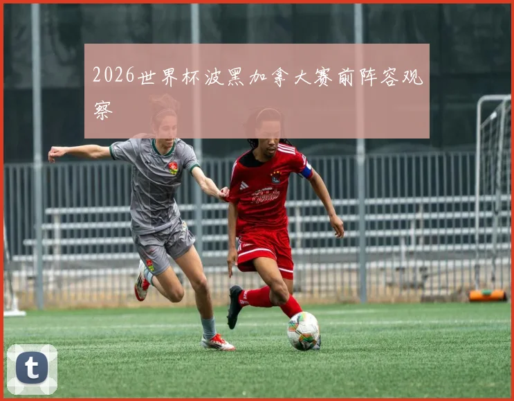 2026世界杯波黑加拿大赛前阵容观察
